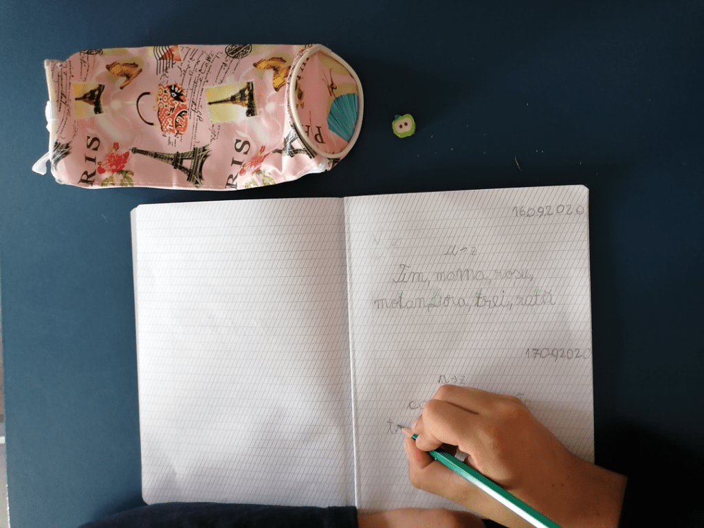Jurnal de scoala De la sat februarie Florentina Tituleac (imaginea 2)