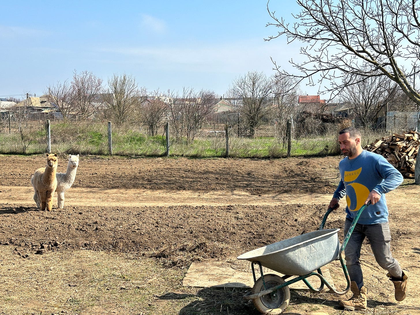 Un trai la țară fără griji (imaginea 13)