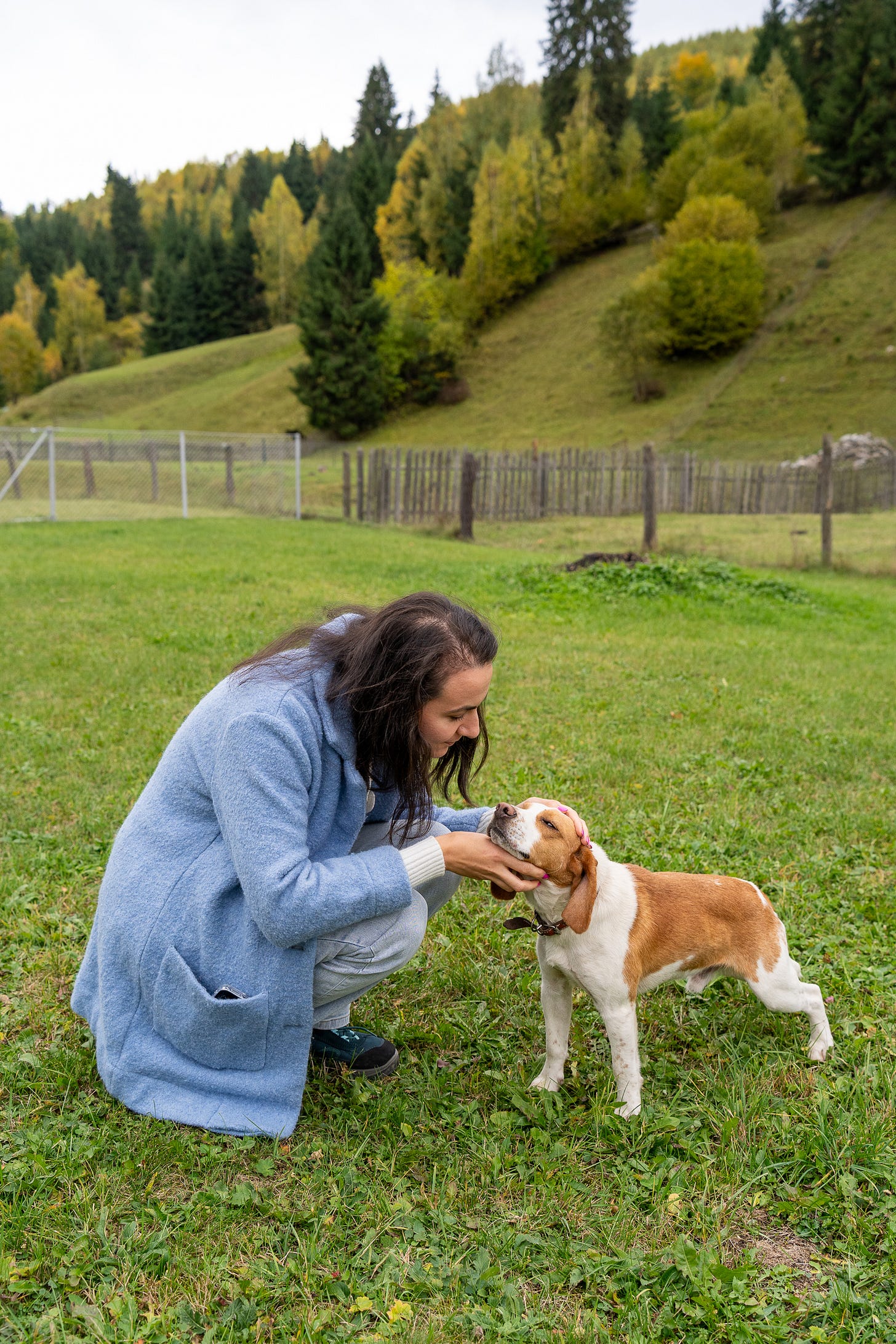 Mâncare la bunica acasă — PGL Talger din Pojorâta, Suceava (imaginea 2)