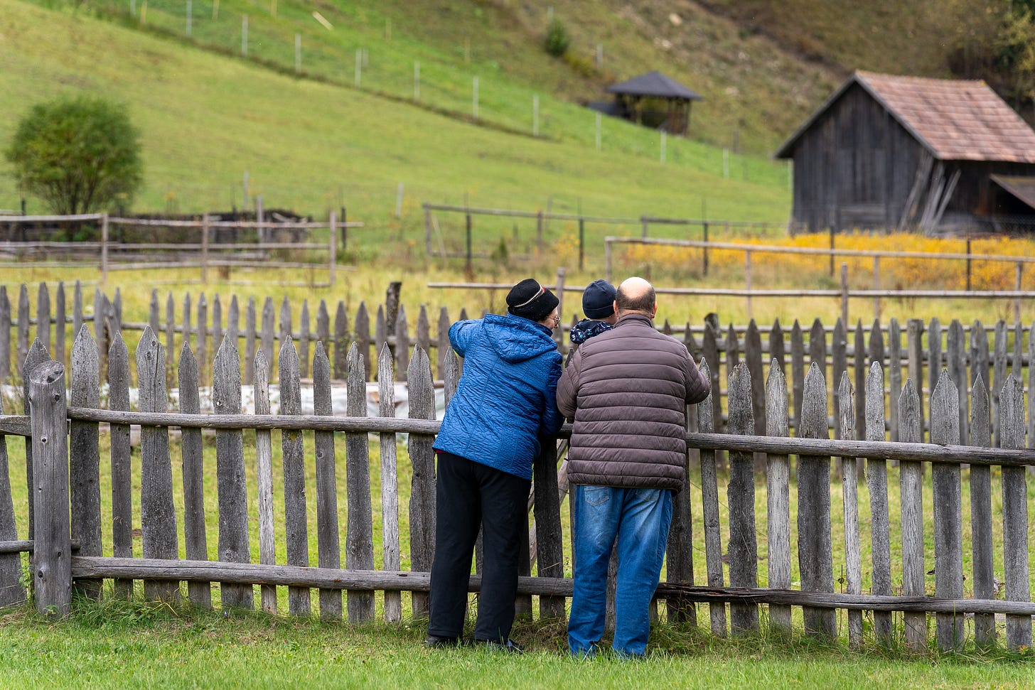Mâncare la bunica acasă — PGL Talger din Pojorâta, Suceava (imaginea 6)