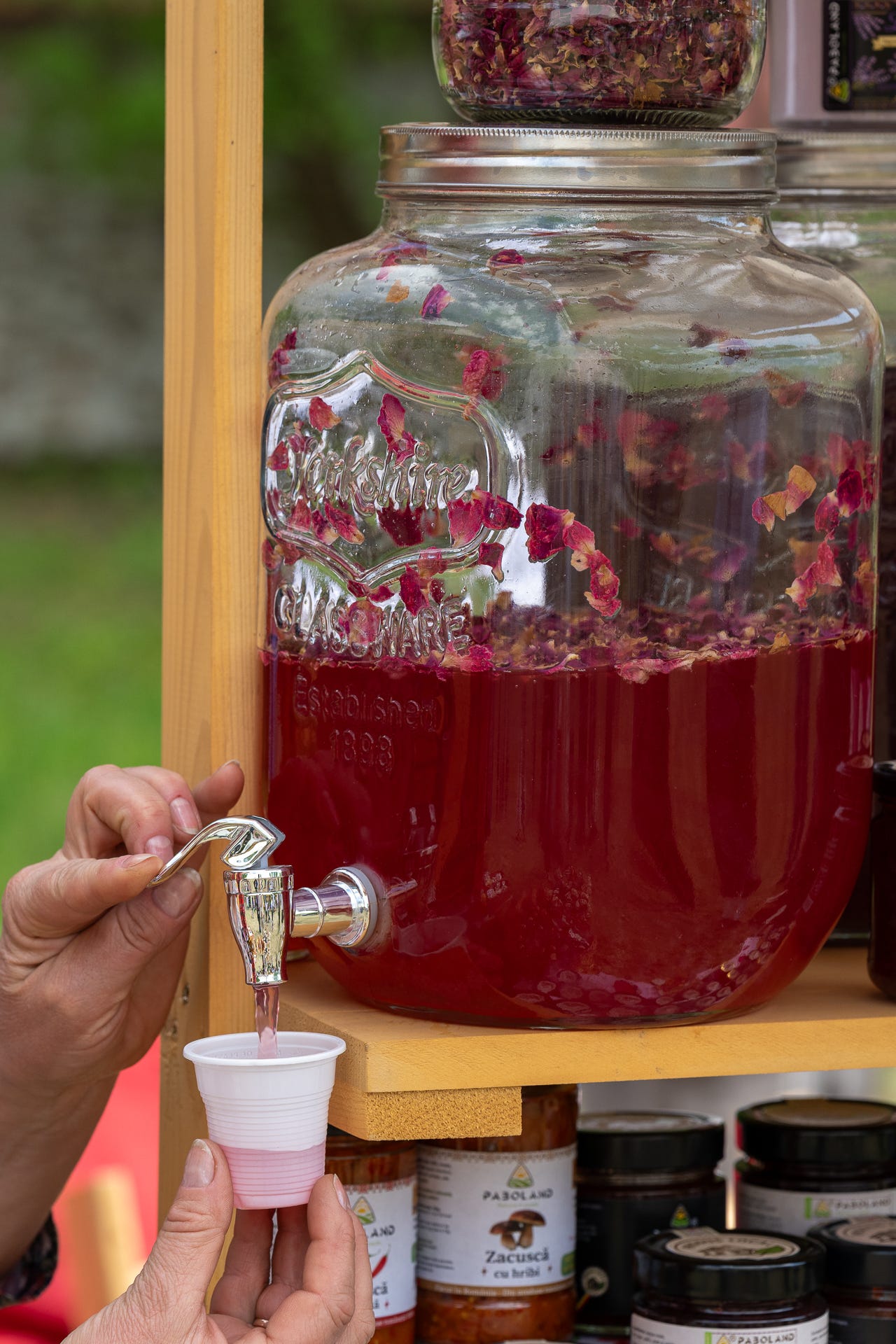 Satul românesc, celebrat la Festivalul Suflet de România de la Săvârșin (imaginea 11)