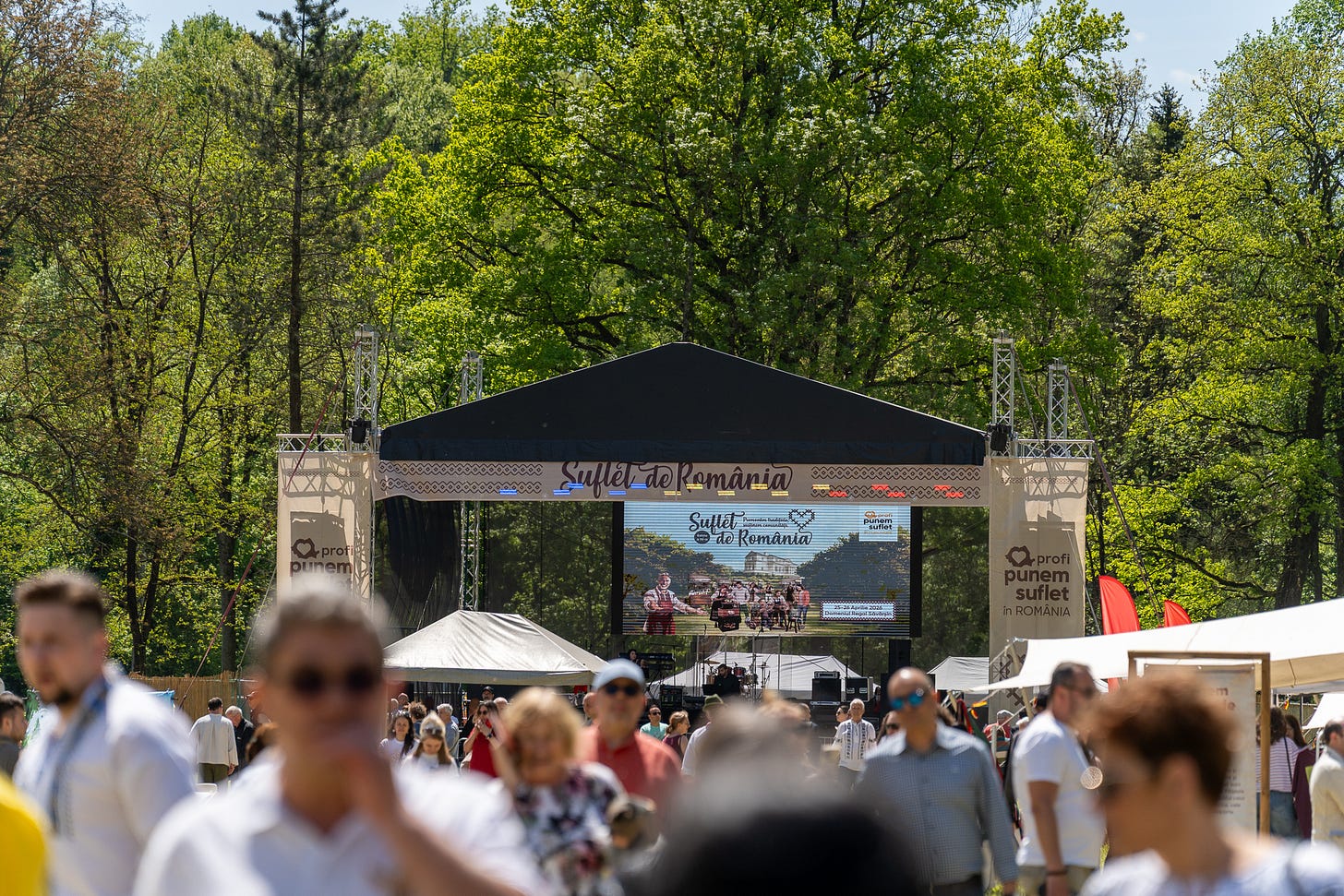 Satul românesc, celebrat la Festivalul Suflet de România de la Săvârșin (imaginea 14)