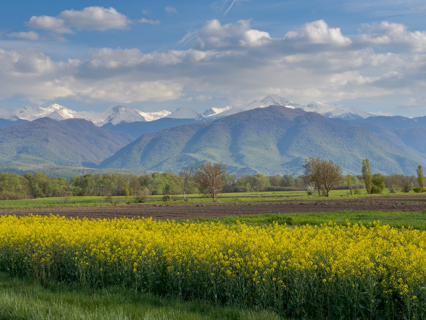 Din Timișoara la poalele Retezatului. De ce au ales Bia și Edi să se mute la sat (imaginea 2)
