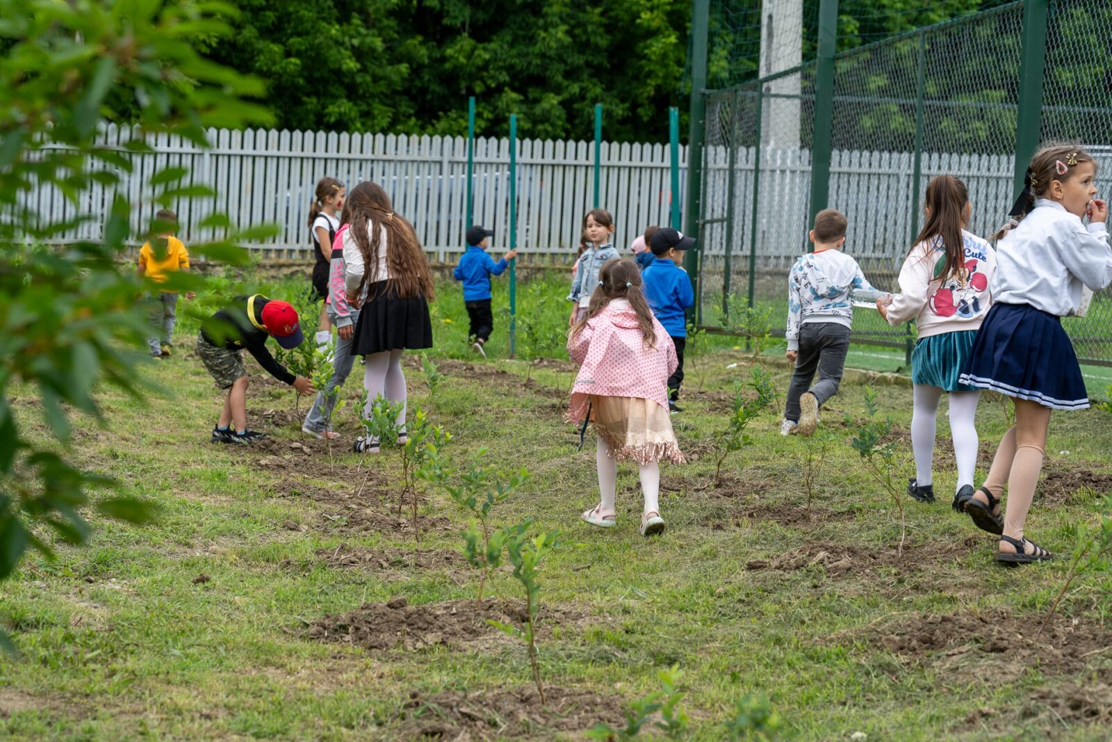Elevi de la școala Gănești, comuna Cavadinești, județul Galați, la activitatea proiectului Școala Mea Verde, finanțată de Teach for Romania și OMV Petrom