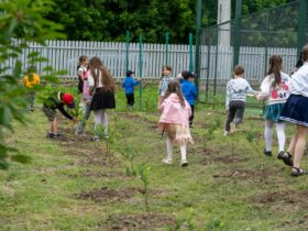Elevi de la școala Gănești, comuna Cavadinești, județul Galați, la activitatea proiectului Școala Mea Verde, finanțată de Teach for Romania și OMV Petrom