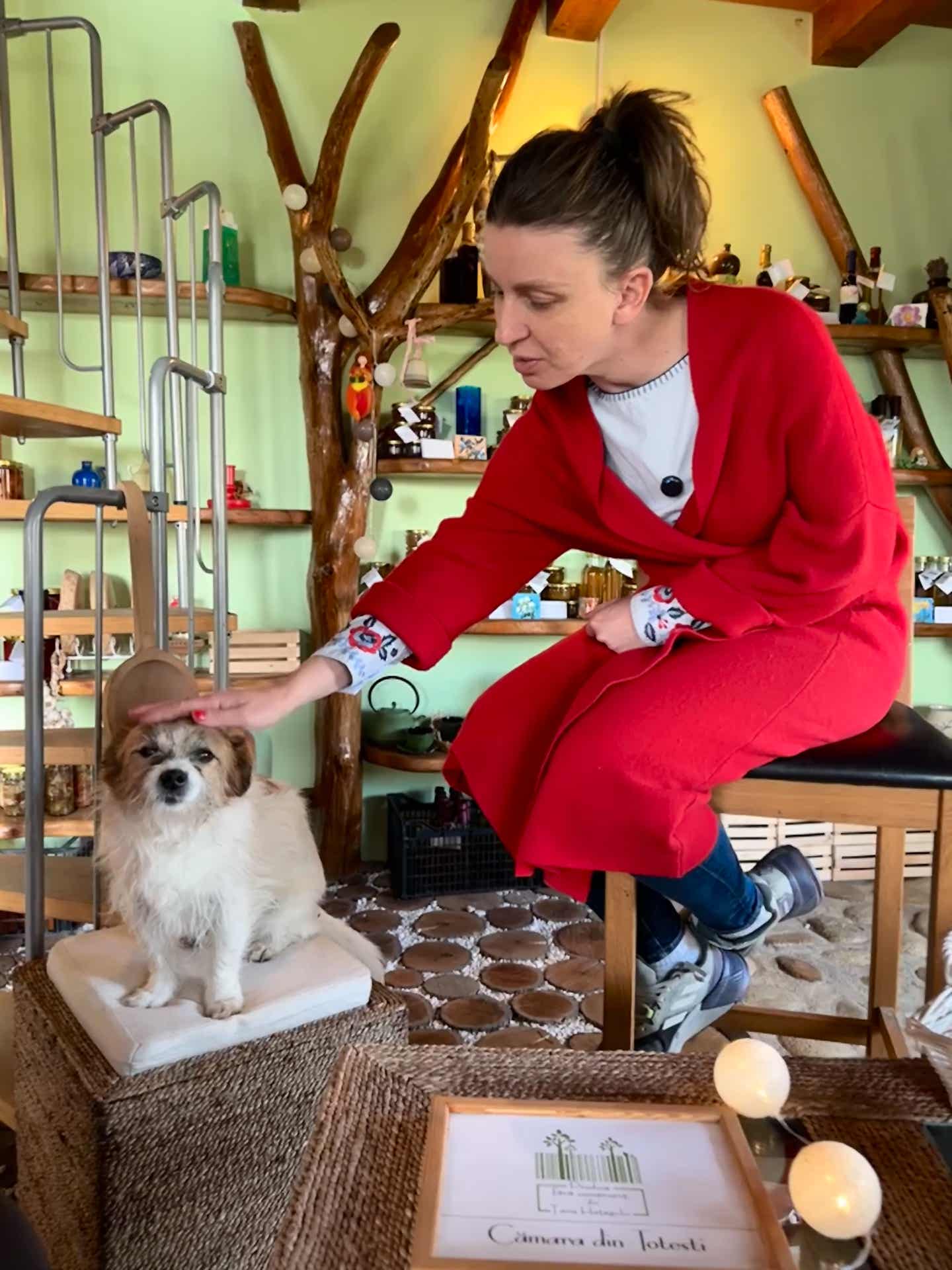 Paula și Cornel, un cățel care s-a refugiat în curtea lor acum câțiva ani. „Era atât de slab încât trecea printre zăbrelele de la gard, jumătate de an mi-a luat să-l pot mângâia, avea multe traume”. Confirmăm și noi că este un adorabil Cornel și chiar o gazdă primitoare!