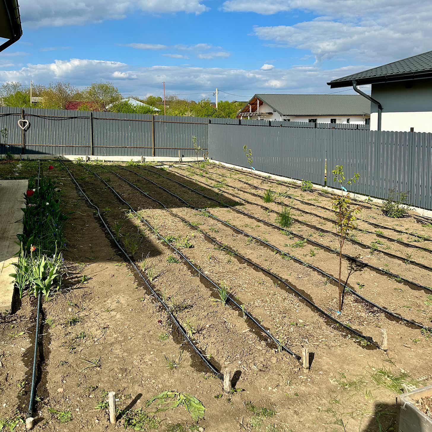 Cum arăta grădina înainte de a planta răsadurile.