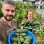 Cum arată grădina de la sat la mijlocul verii