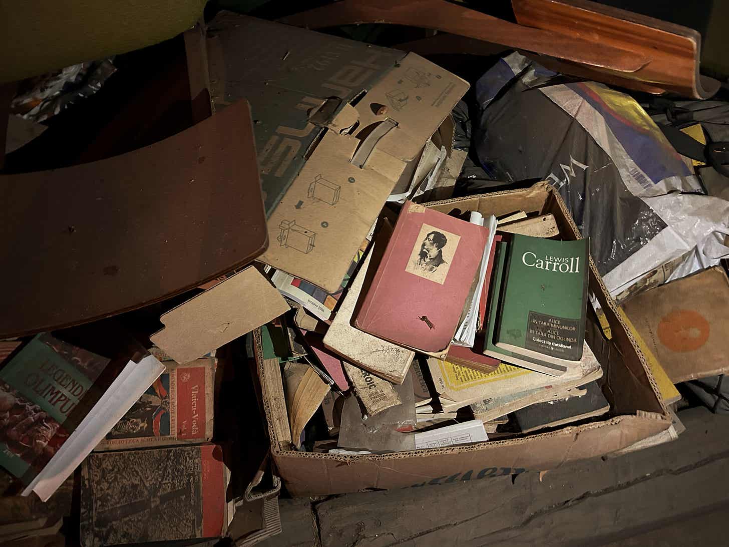 Ultima filă: Povestea unei biblioteci de la sat