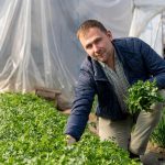 Costel Leonte din satul ieșean Probota cultivă și livrează legume