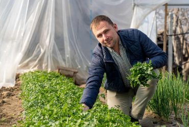 Costel Leonte din satul ieșean Probota cultivă și livrează legume
