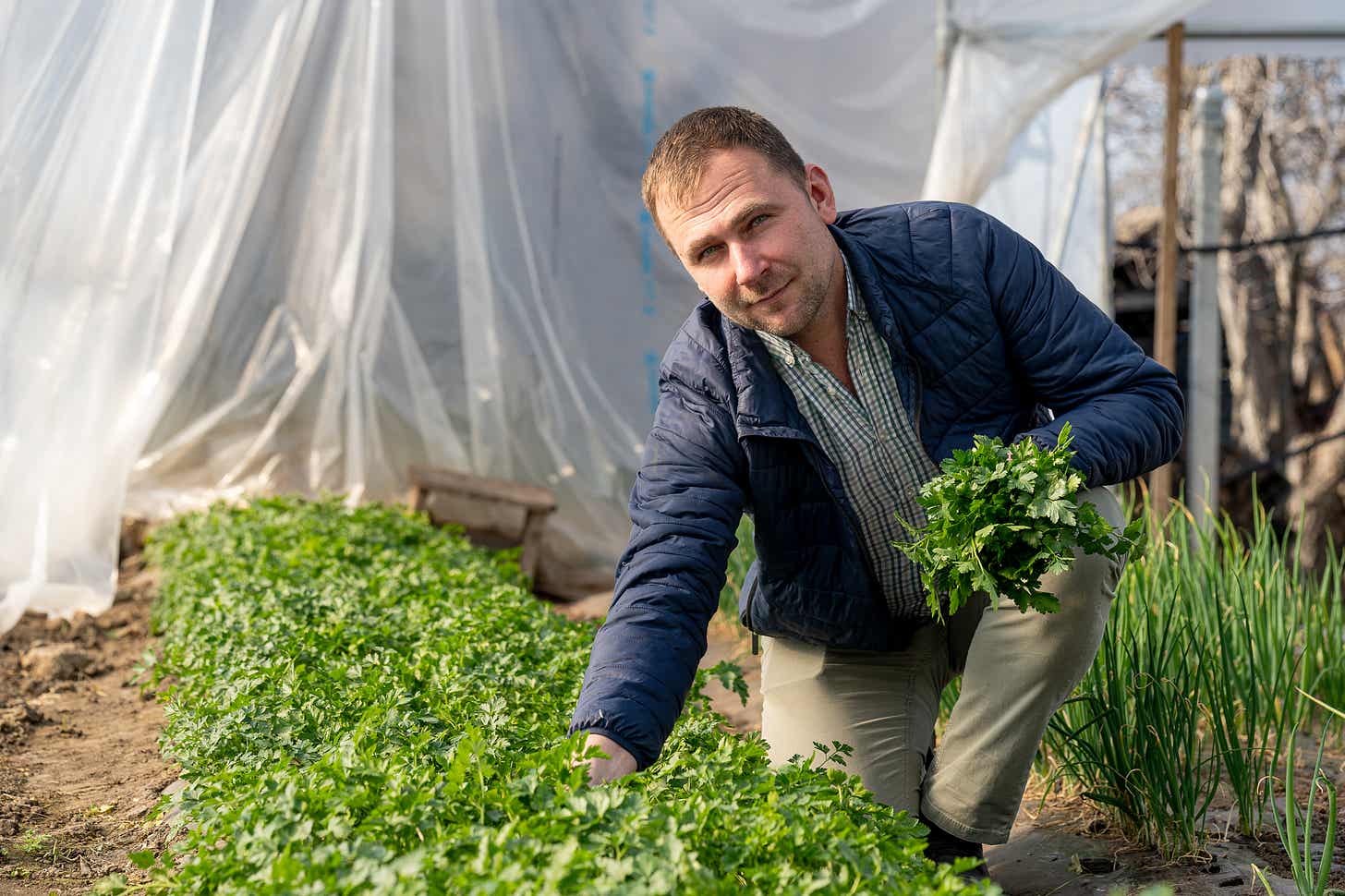 Costel Leonte din satul ieșean Probota cultivă și livrează legume