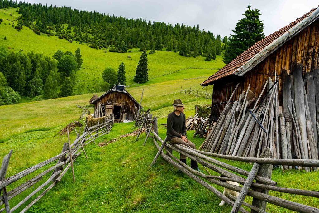 Ciobanul Luchian și câinele Codruț la stâna lui, 2021