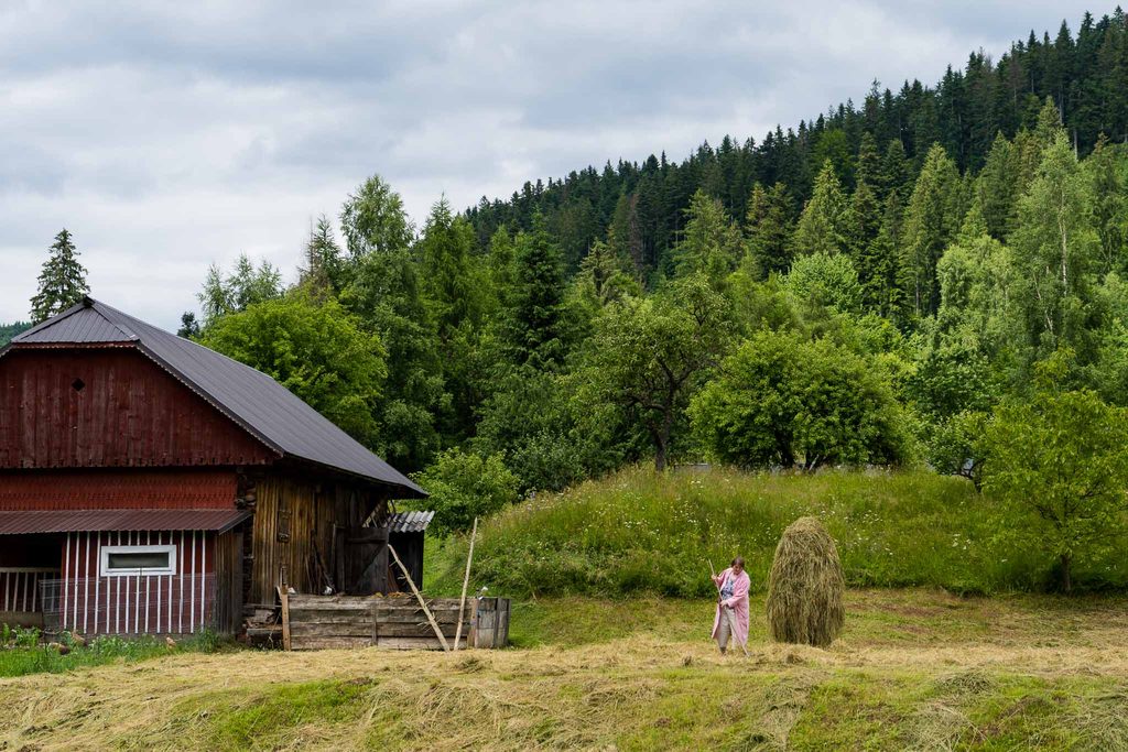 Peisaj de pe Via Transilvanica, iulie 2021