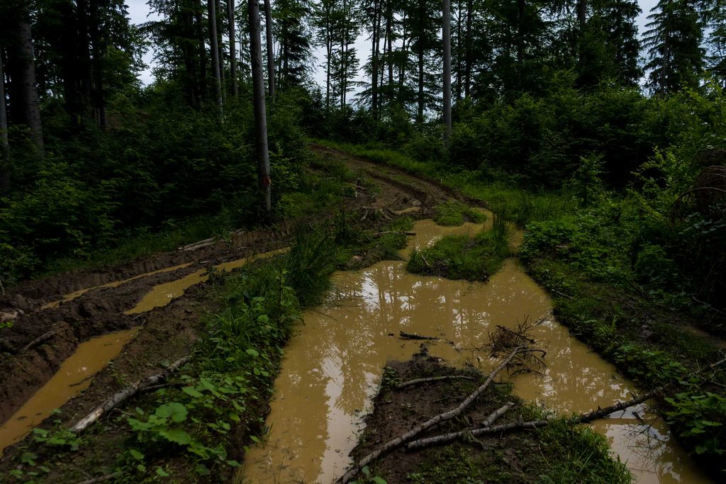 Traseul Via Transilvanica într-o zi ploioasă, iulie 2021